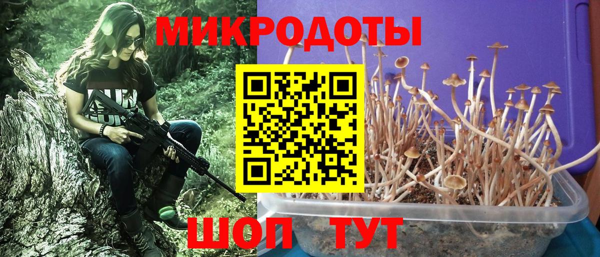 Галлюциногенные грибы ЛСД Лысьва